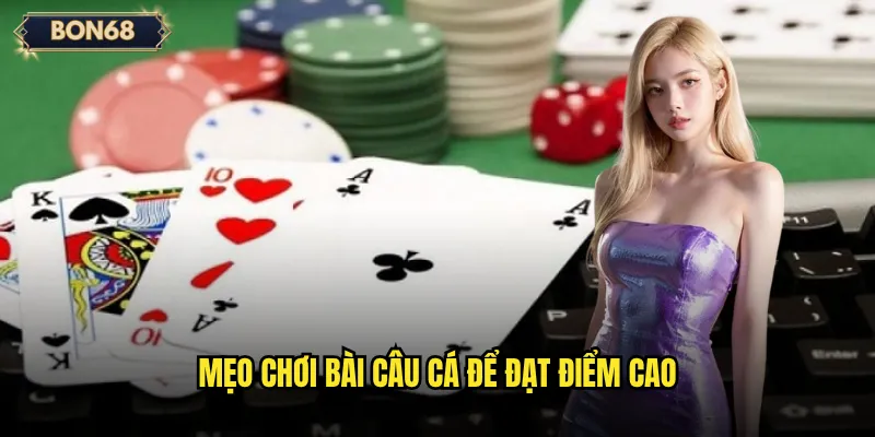 Bài Câu Cá Bon68 Có Phải Trò Chơi Giải Trí Dễ Thắng? 3 Mẹo chơi Bài câu cá để đạt điểm cao